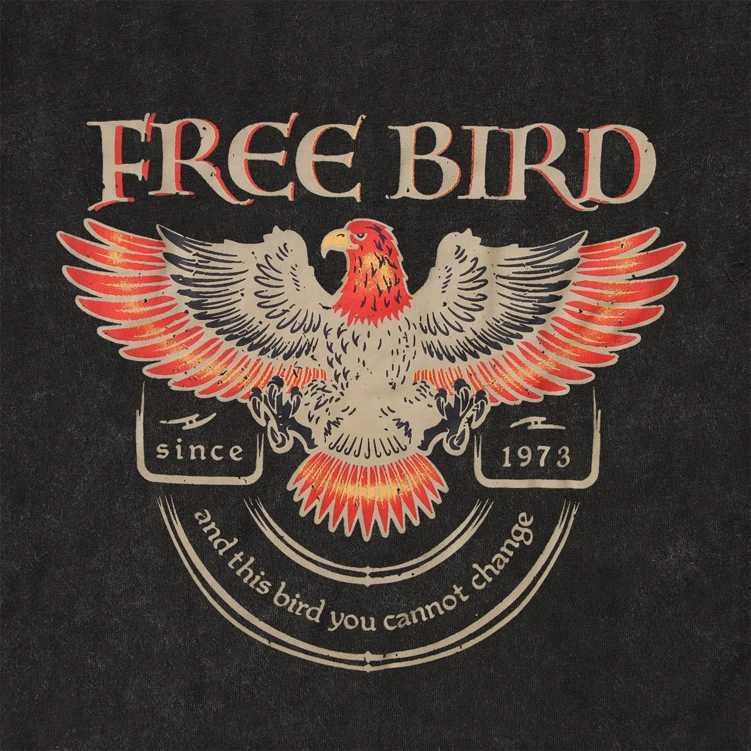 Vintage Rock Band Tshirts Women Retro Free Bird Western Graphic Tees Country Music Shirts Casual Short Sleeve Tops